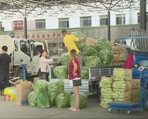 本地瓜果蔬菜主導食用農產品批發(fā)市場
